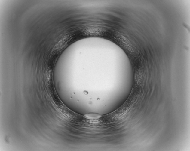 X0000098080645200804181200