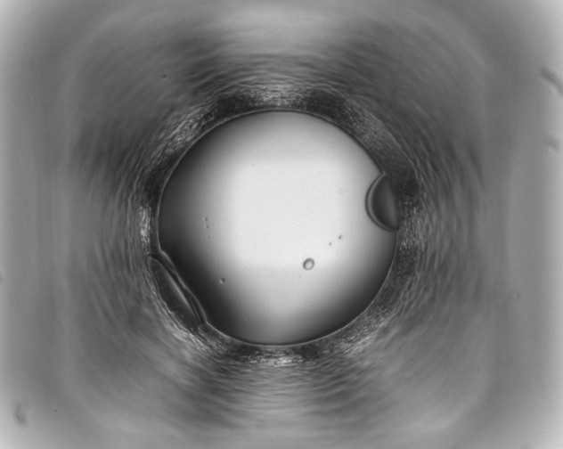 X0000098080646200804181200