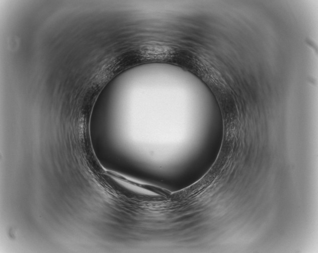 X0000098080647200804181200