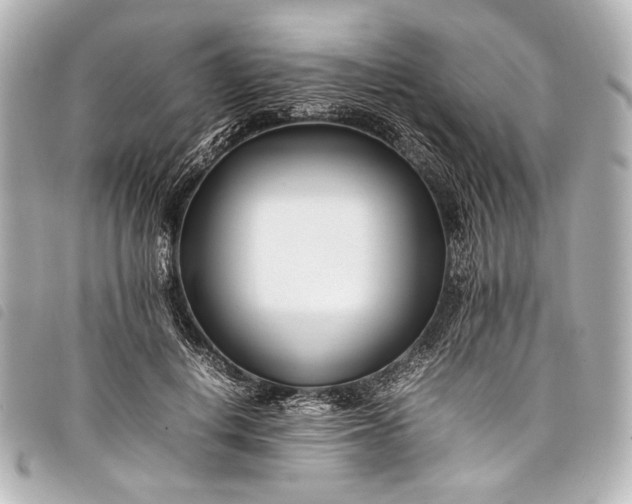 X0000098080648200804181200