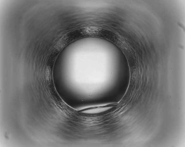 X0000098080651200804181200