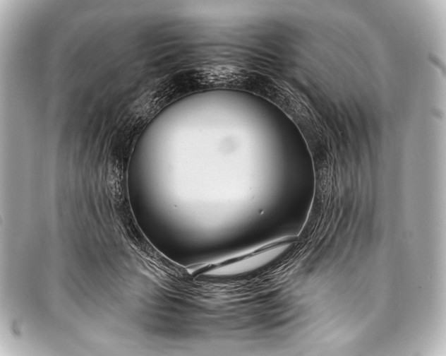 X0000098080653200804181200