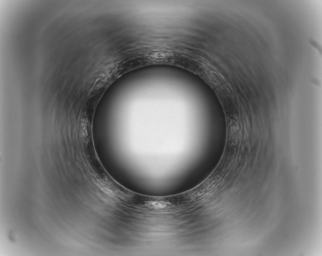 X0000098080654200804181200