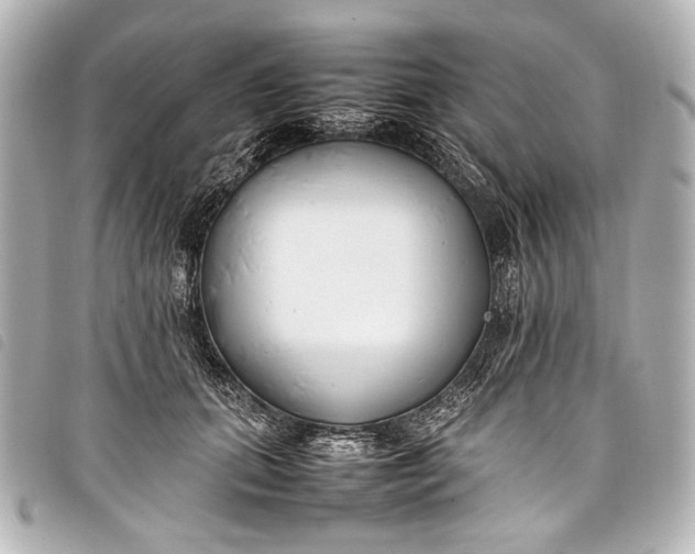 X0000098080655200804181200