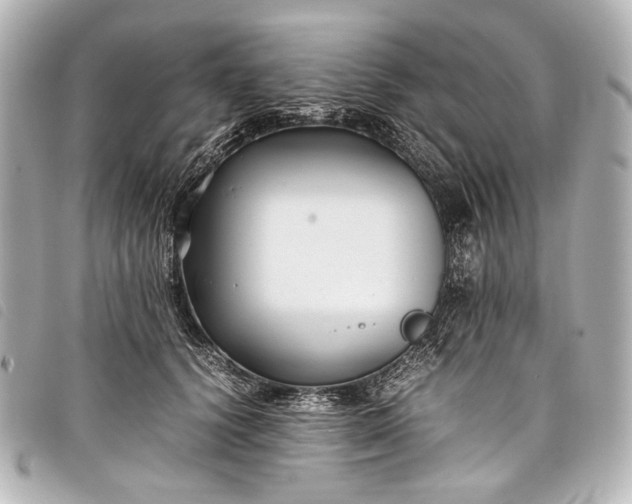 X0000098080656200804181200