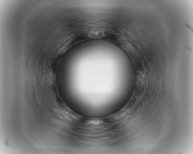 X0000098080659200804181200