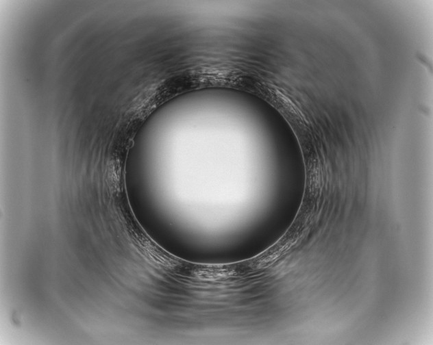 X0000098080661200804181200