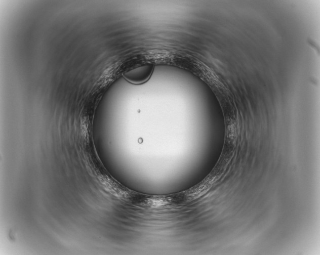 X0000098080662200804181200