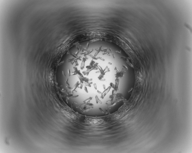 X0000098080663200804181200