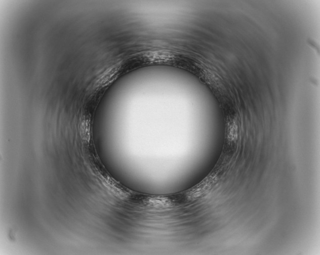 X0000098080666200804181200