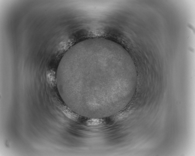 X0000098080672200804181200