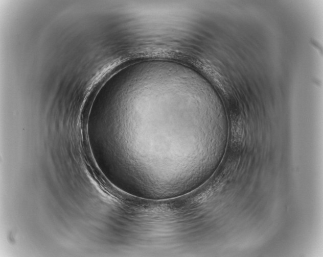 X0000098080674200804181159