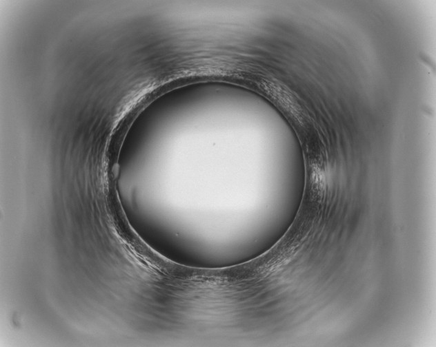 X0000098080676200804181159