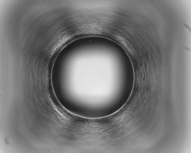 X0000098080677200804181159