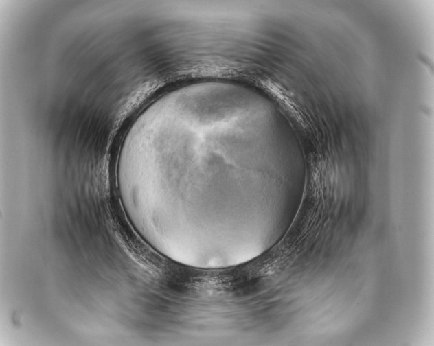 X0000098080678200804181159