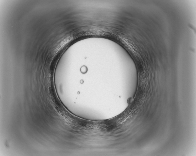 X0000098080679200804181159