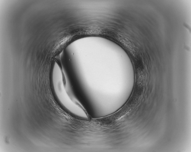 X0000098080681200804181159