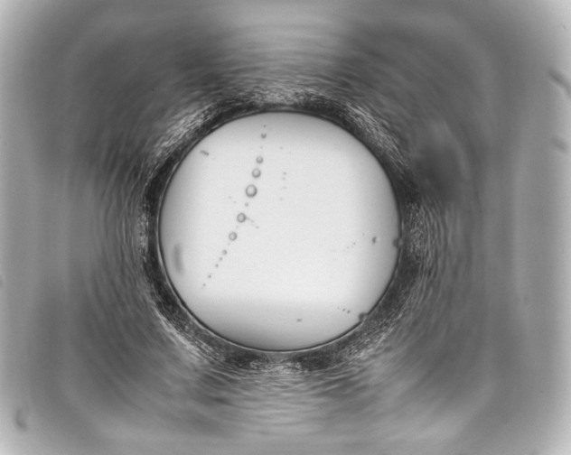 X0000098080683200804181159