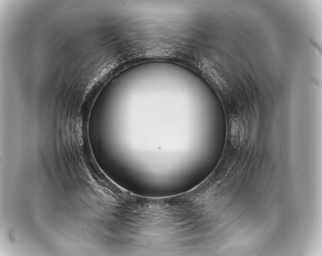 X0000098080684200804181159