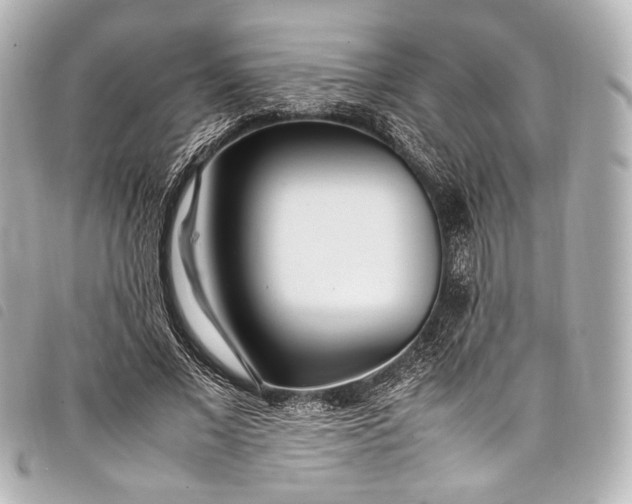 X0000098080685200804181159