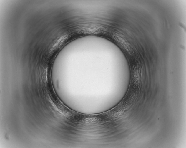 X0000098080686200804181159