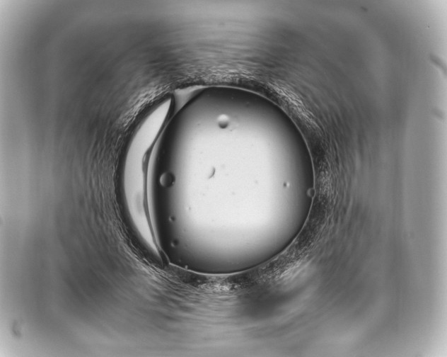 X0000098080687200804181159