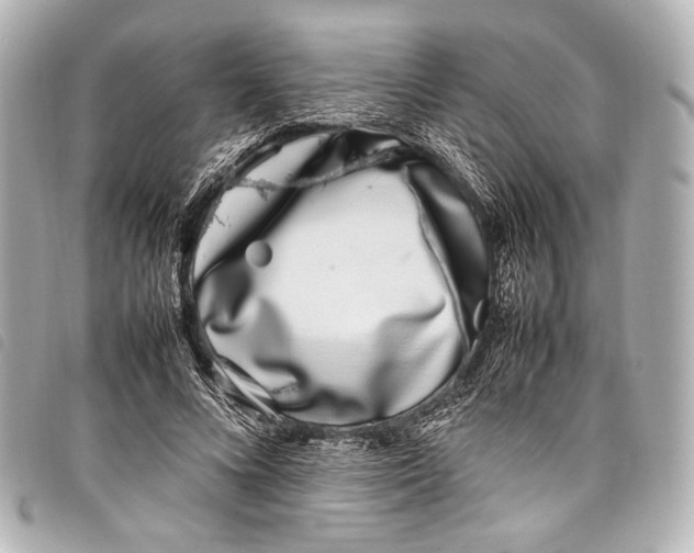 X0000098080688200804181159