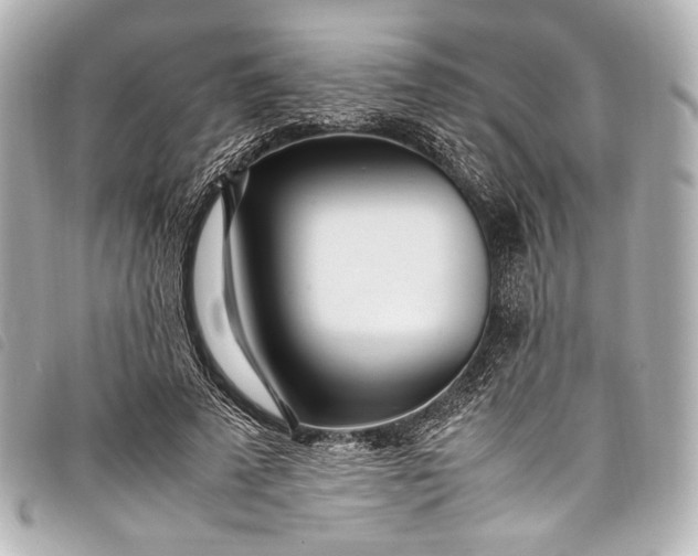 X0000098080689200804181159