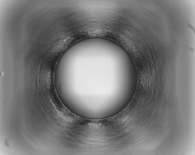 X0000098080690200804181159