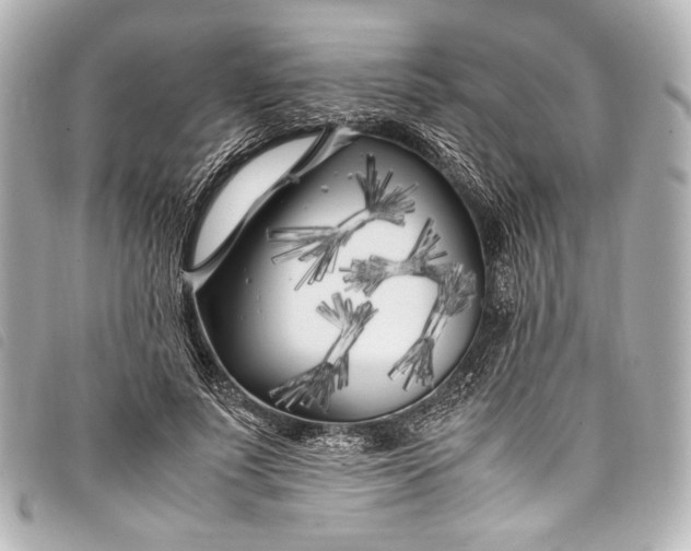 X0000098080691200804181159