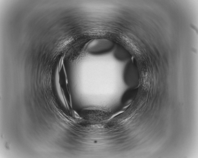 X0000098080692200804181159