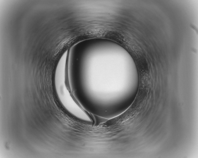 X0000098080693200804181159