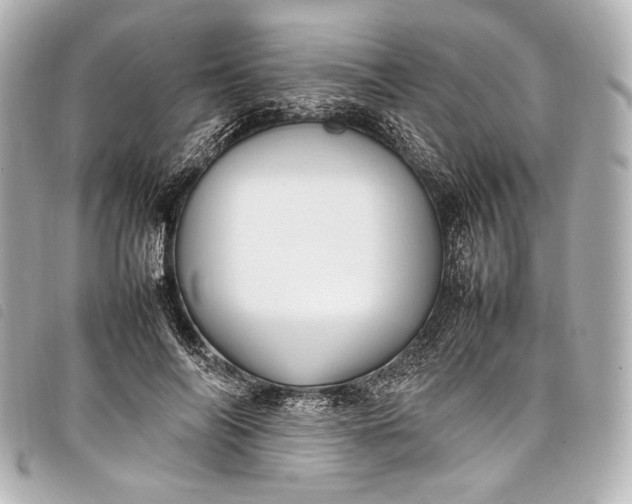 X0000098080694200804181159