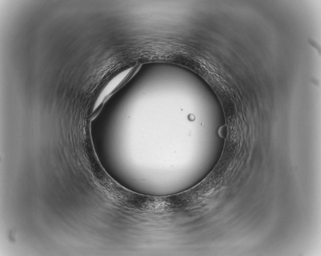 X0000098080695200804181159