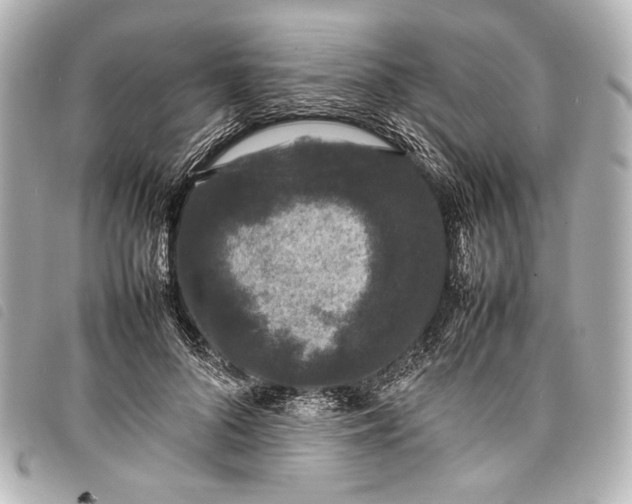 X0000098080696200804181159