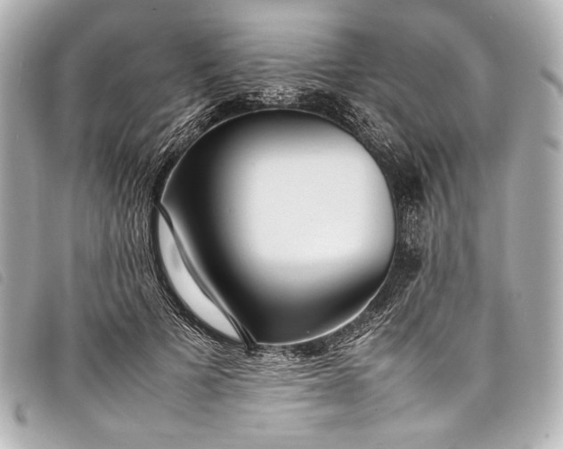 X0000098080697200804181159