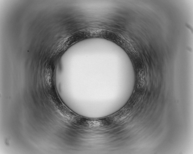 X0000098080698200804181159