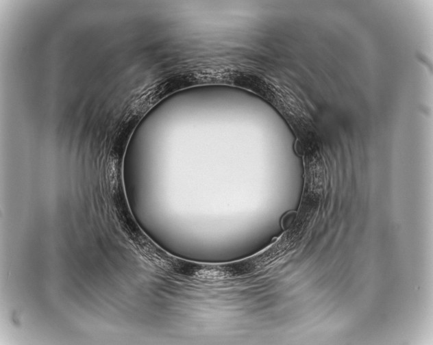 X0000098080699200804181159