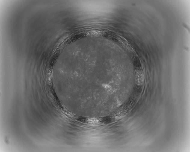 X0000098080701200804181159