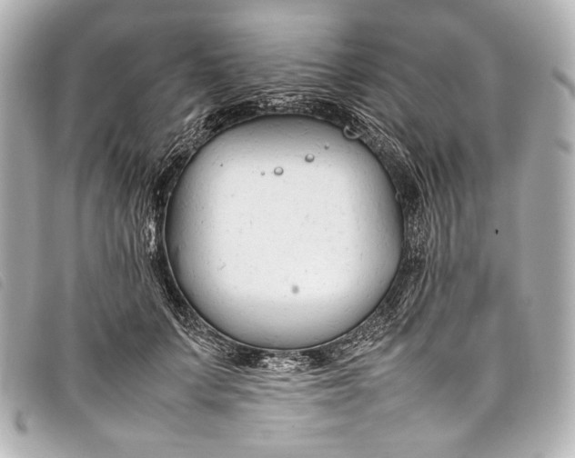 X0000098080703200804181159