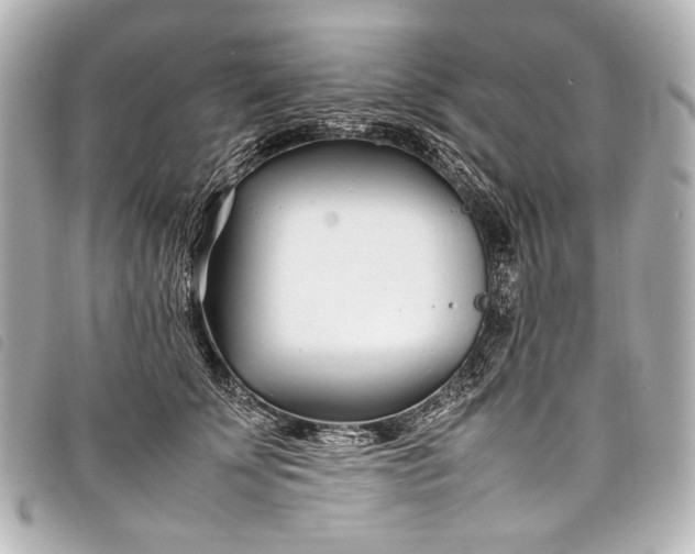 X0000098080707200804181158