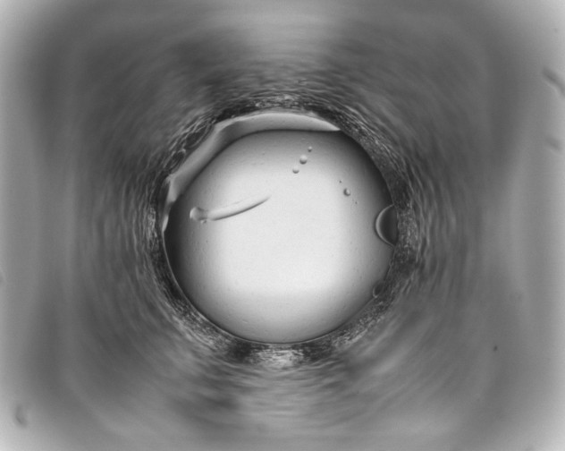 X0000098080711200804181158