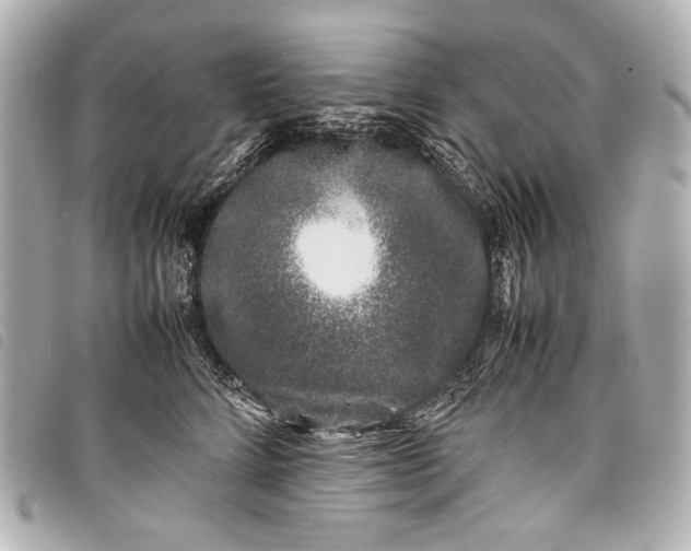 X0000098080712200804181158