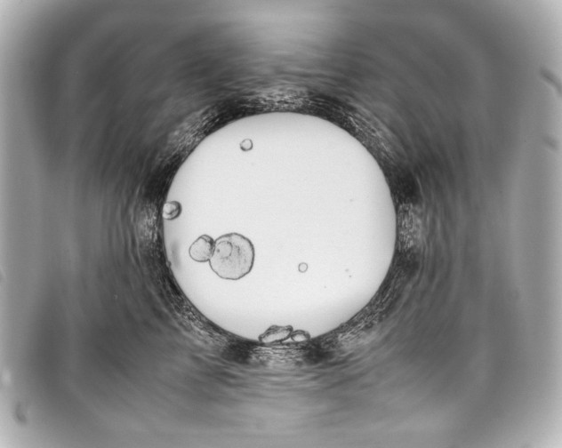 X0000098080713200804181158