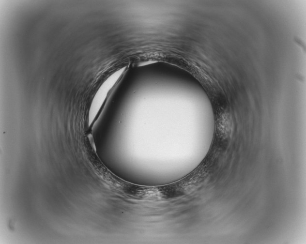 X0000098080715200804181158