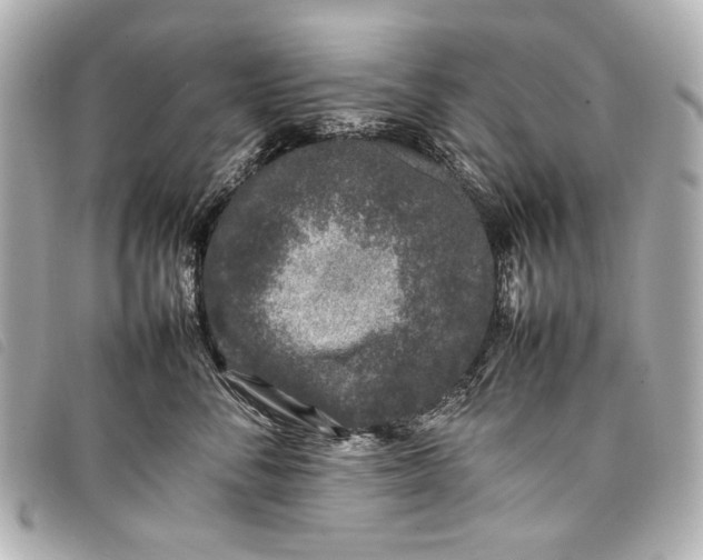 X0000098080716200804181158