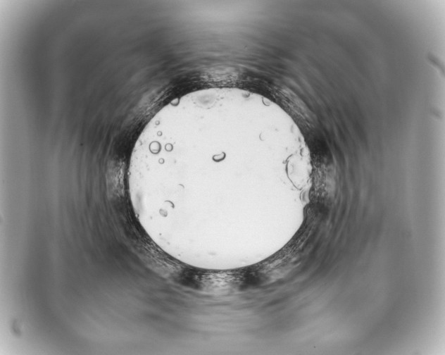 X0000098080717200804181158