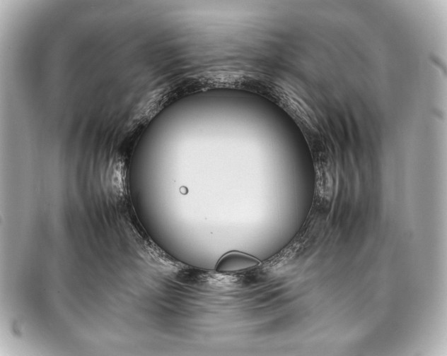 X0000098080718200804181158