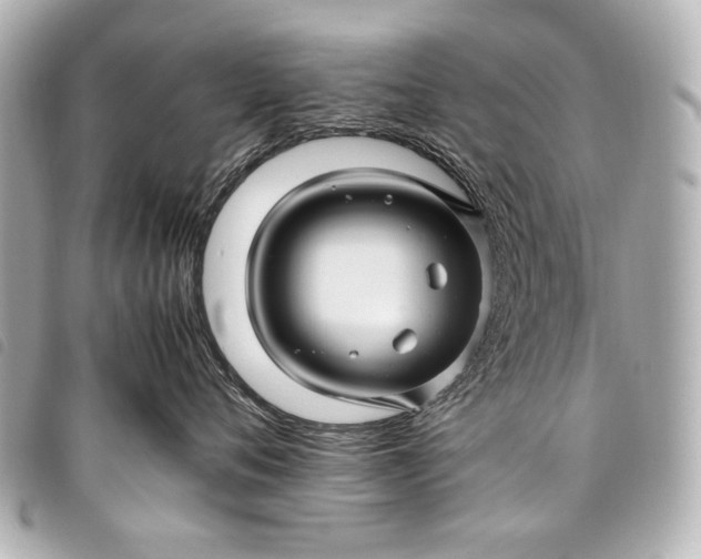 X0000098080720200804181158