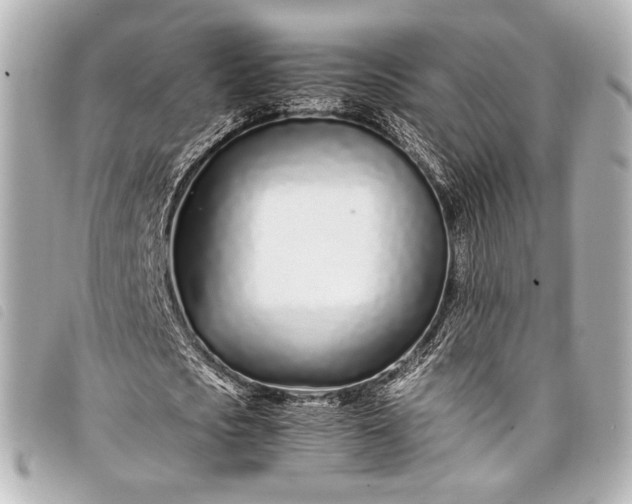 X0000098080721200804181158